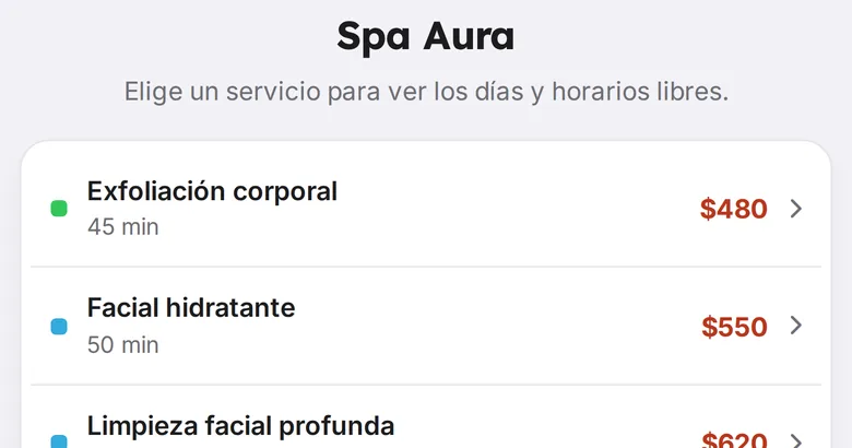 Servicios de Spa Aura en su página de reservas de AgendaMaestra